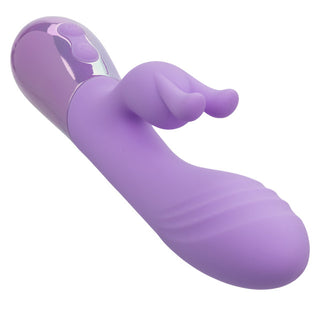 CALEXOTICS AURA DUAL BUNNY