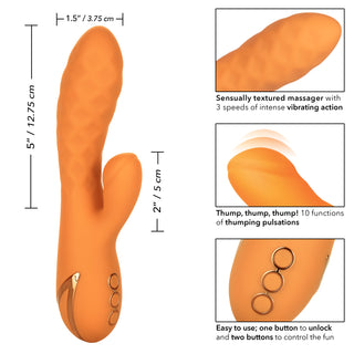 CALIFORNIA DREAMING NEWPORT BEACH BABE