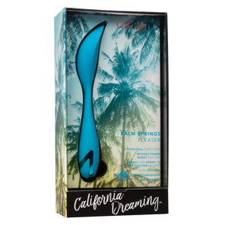 CALIFORNIA DREAMING PALM SPRINGS PLEASER