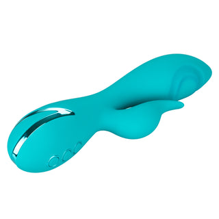 CALIFORNIA DREAMING SANTA MONICA STARLET