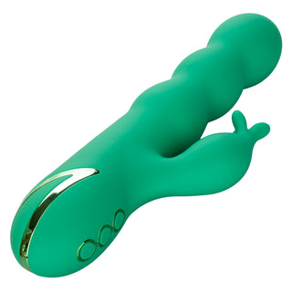 CALIFORNIA DREAMING SONOMA SATISFIER