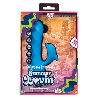 CALIFORNIA DREAMING SUMMER LOVIN' FRISCO FANTASY