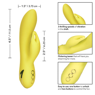 CALIFORNIA DREAMING VENICE VIXEN