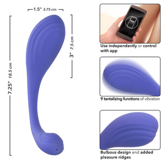 CALEXOTICS CONNECT KEGAL EXERCISER