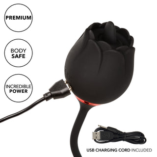 FRENCH KISS ELITE ROMEO