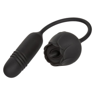 FRENCH KISS ELITE ROMEO