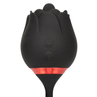 FRENCH KISS ELITE ROMEO