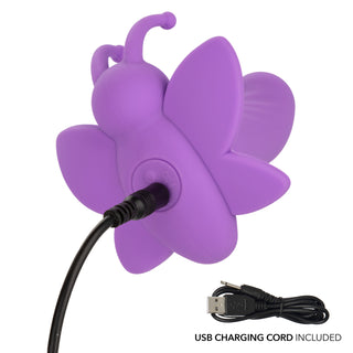 FIRST TIME ROTATING VENUS BUTTERFLY