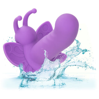 FIRST TIME ROTATING VENUS BUTTERFLY