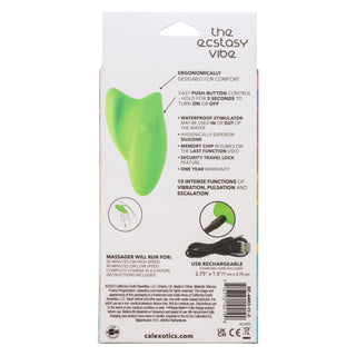 NEON VIBES THE ECSTASY VIBE