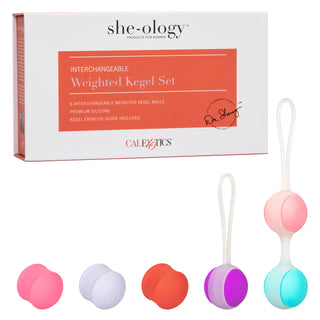 SHE-OLOGY INTERCHANGEABLE WEIGHTED KEGEL SET