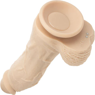 RECHARGEABLE BIG DICK ENERGY STUDS
