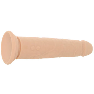 CALEXOTICS VIBRATING AND THRUSTING STUDS