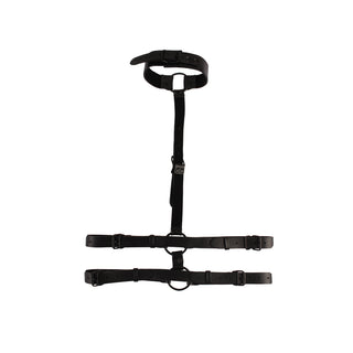 BEHAVE COLLAR BODY RESTRAINT