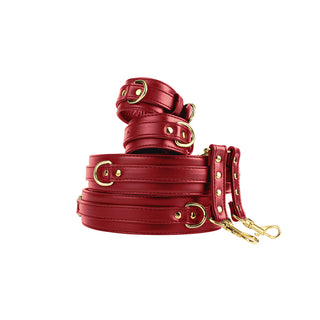 BEHAVE WRIST TO THIGH CUFF SET