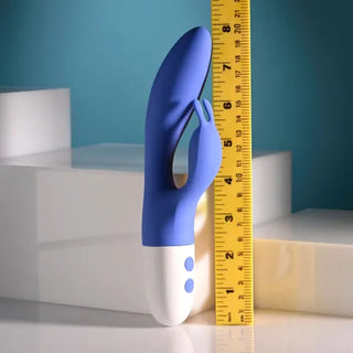EVOLVED FUNNY BUNNY