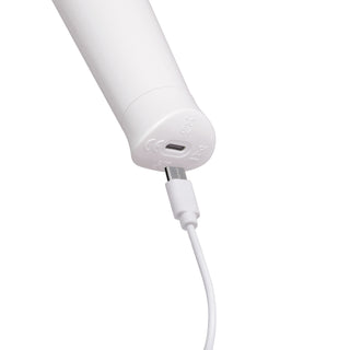 LE WAND CLASSIQUE PETITE WAND MASSAGER