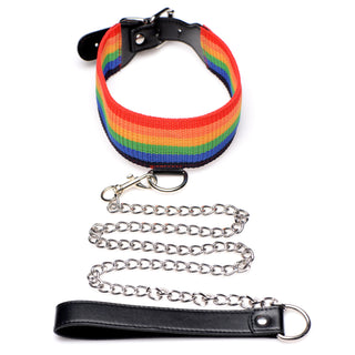 MASTER SERIES KINKY PRIDE BONDAGE SET