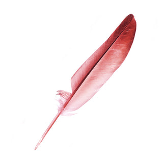 ORGIE SEXY THERAPY MASSAGE SET