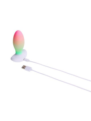 ILLUMINATION THE PLUG