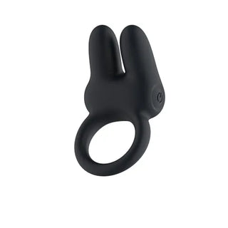 PASSION PLAY DUAL MOTOR VIBRATING COCKRING