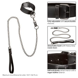 EUPHORIA COLLAR WITH CHAIN AND LEASH