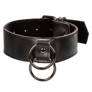 EUPHORIA COLLAR WITH CHAIN AND LEASH