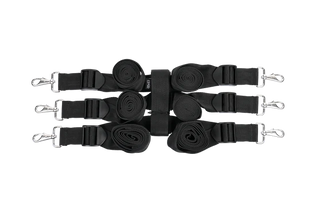 EDGE EXTREME UNDER THE BED RESTRAINT SYSTEM