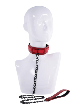 S&M EXS & OHS COLLAR AND LEASH