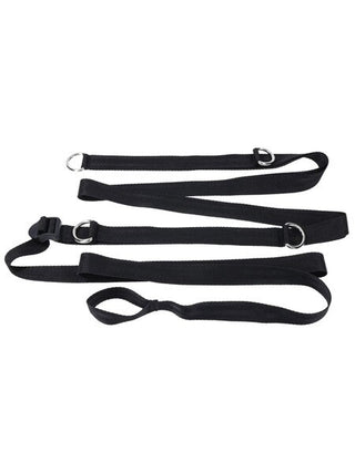 SEX AND MISCHIEF ANYWHERE YOU DARE BONDAGE RESTRAINT SYSTEM