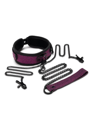 WHIPSMART COLLAR LEASH AND NIPPLE CLIPS SET