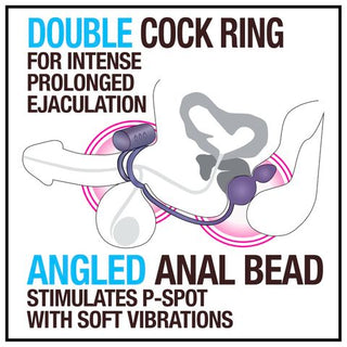 ANAL ADVENTURES PLATINUM ANAL PLUG AND VIBRATING C-RING