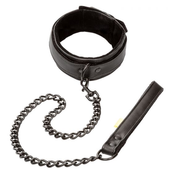BOUNDLESS COLLAR AND LEASH