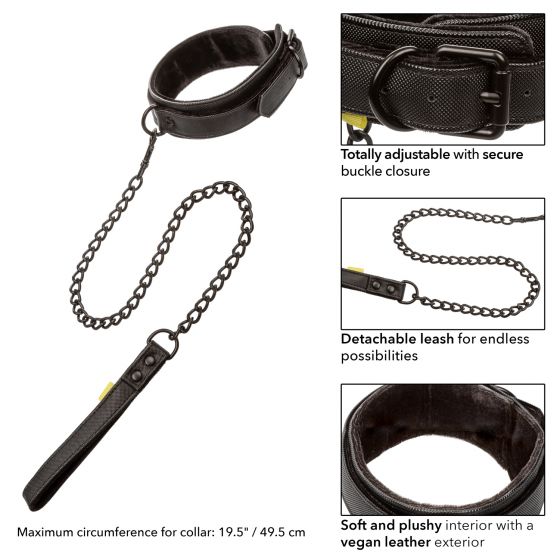 BOUNDLESS COLLAR AND LEASH