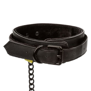 BOUNDLESS COLLAR AND LEASH