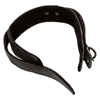 BOUNDLESS COLLAR AND LEASH