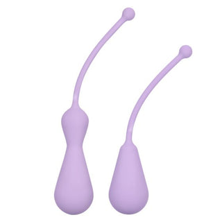 DR LAURA BERMAN - KEGEL SET