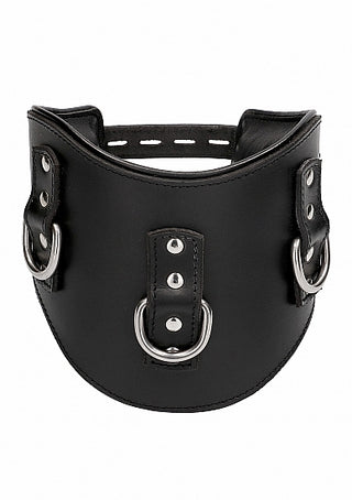 PAIN HEAVY DUTY PADDED POSTURE COLLAR BLACK LEATHER